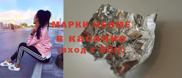 твердый Арсеньев