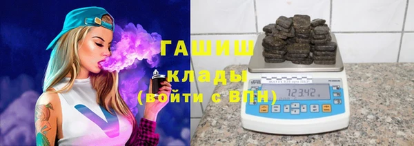 хмурый Аркадак
