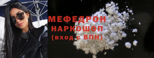 хмурый Аркадак