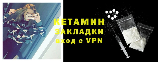 хмурый Аркадак