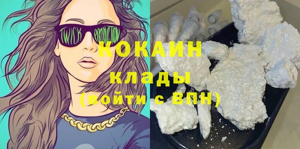 твердый Арсеньев