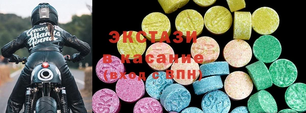 хмурый Аркадак
