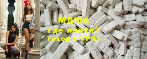 хмурый Аркадак