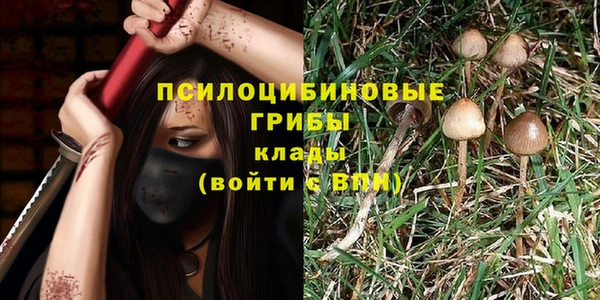 твердый Арсеньев
