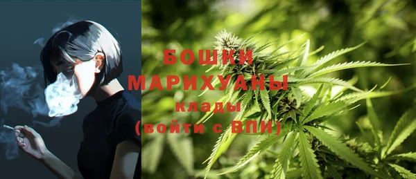 хмурый Аркадак