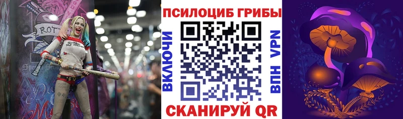 Галлюциногенные грибы Psilocybine cubensis Поронайск