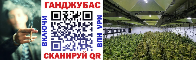 Бошки Шишки гибрид  кракен ТОР  shop телеграм  Поронайск 